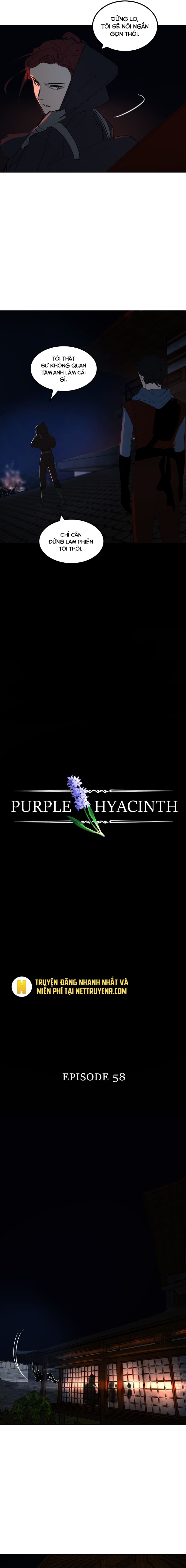 Hoa Lục Bình Tím: Chapter 58