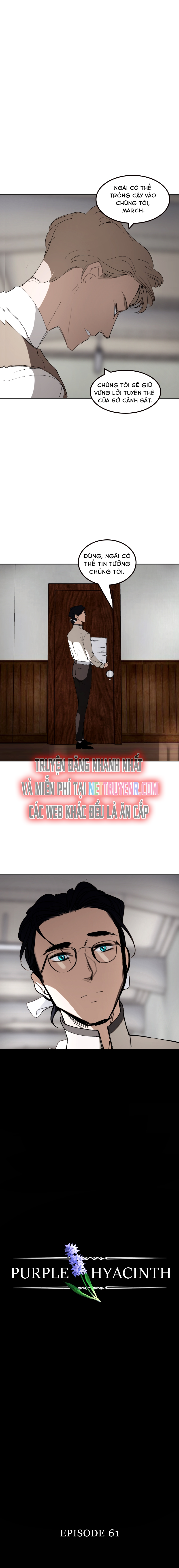 Hoa Lục Bình Tím: Chapter 61