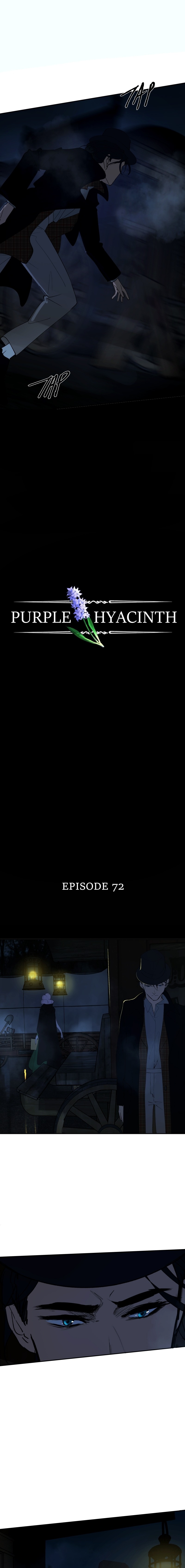 Hoa Lục Bình Tím: Chapter 72