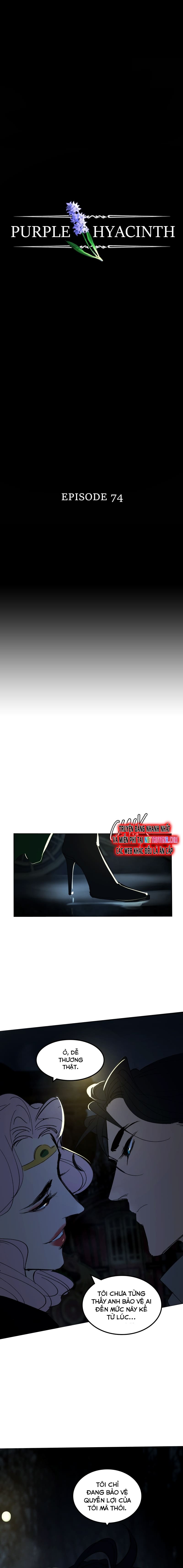 Hoa Lục Bình Tím: Chapter 74