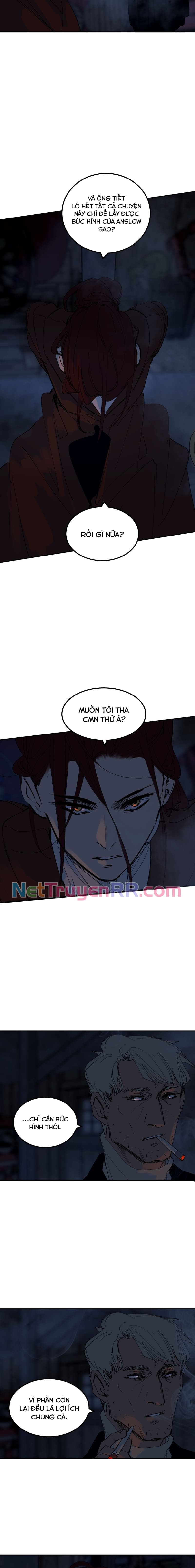 Hoa Lục Bình Tím: Chapter 76.3