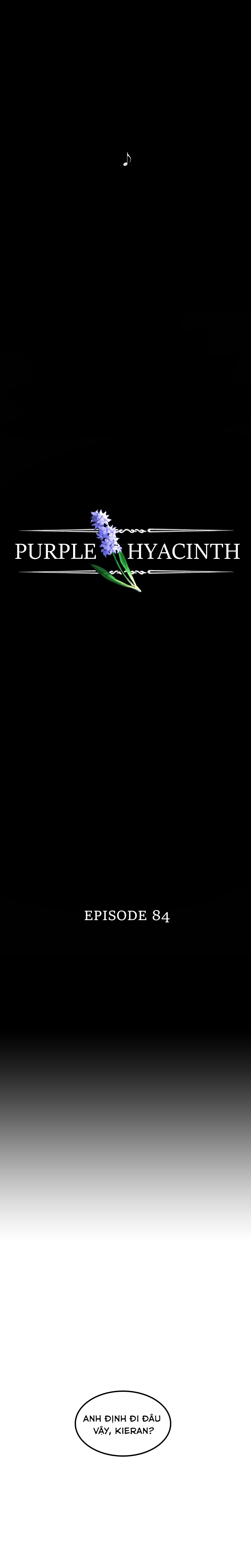 Hoa Lục Bình Tím: Chapter 84