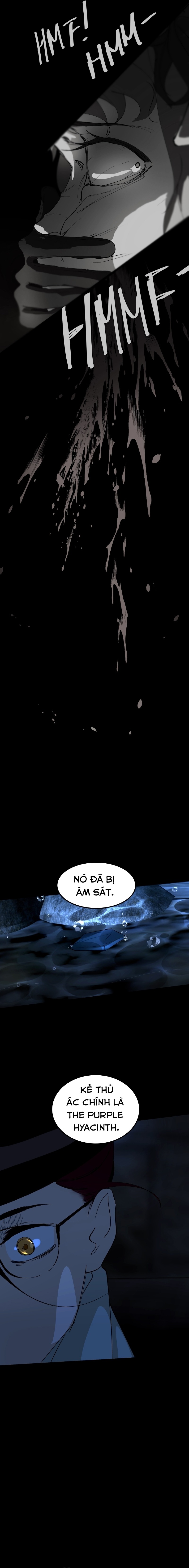 Hoa Lục Bình Tím: Chapter 90.1