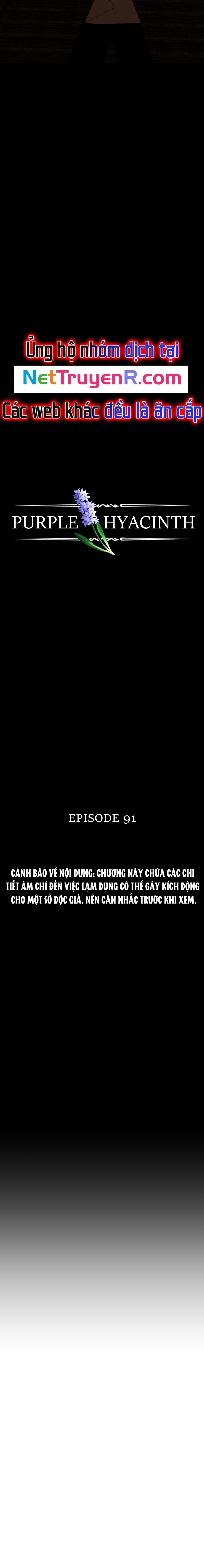 Hoa Lục Bình Tím: Chapter 91