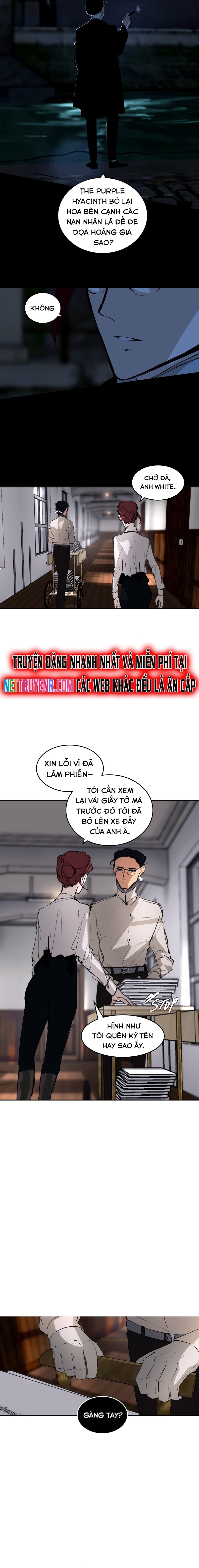 Hoa Lục Bình Tím: Chapter 92.1