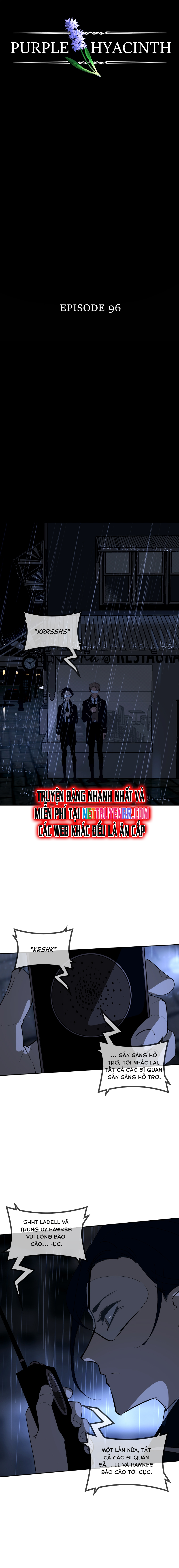 Hoa Lục Bình Tím: Chapter 96