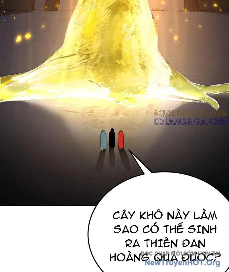 Hóa Ra Các Cô Ấy Mới Là Nhân Vật Chính: Chapter 105