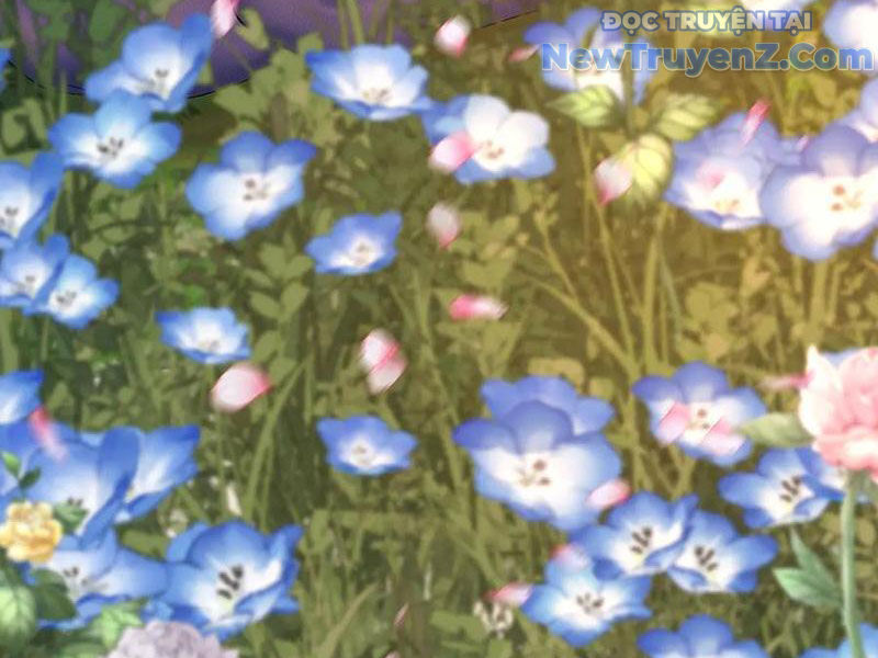 Hóa Ra Các Cô Ấy Mới Là Nhân Vật Chính: Chapter 84