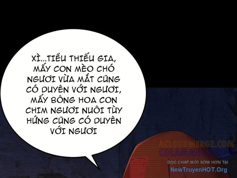 Hóa Ra Các Cô Ấy Mới Là Nhân Vật Chính: Chapter 96