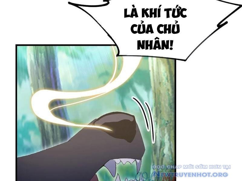 Hoá Ra Ta Đã Vô Địch Từ Lâu: Chapter 301