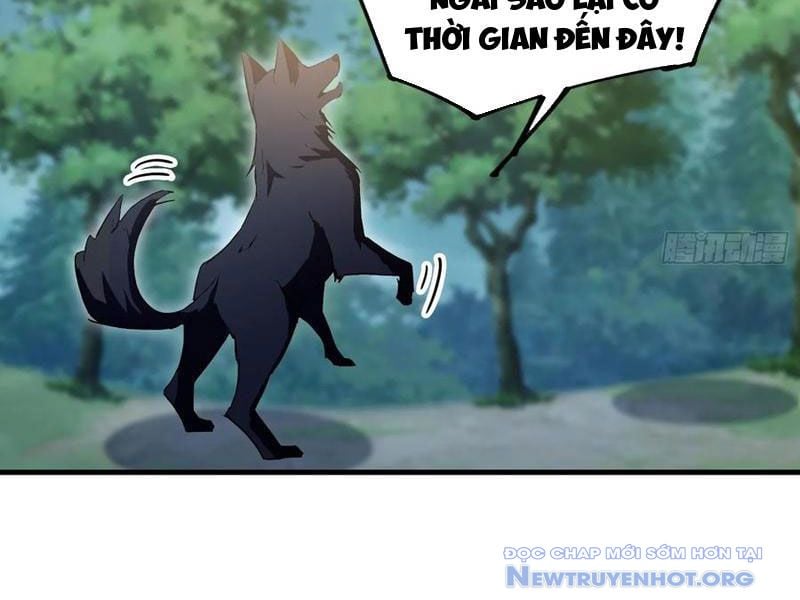 Hoá Ra Ta Đã Vô Địch Từ Lâu: Chapter 301