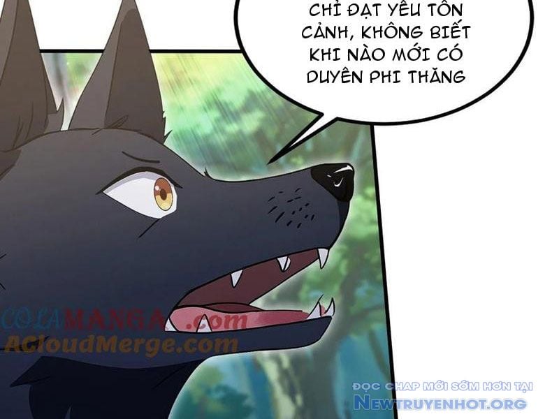 Hoá Ra Ta Đã Vô Địch Từ Lâu: Chapter 302