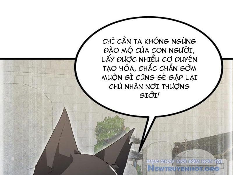 Hoá Ra Ta Đã Vô Địch Từ Lâu: Chapter 302