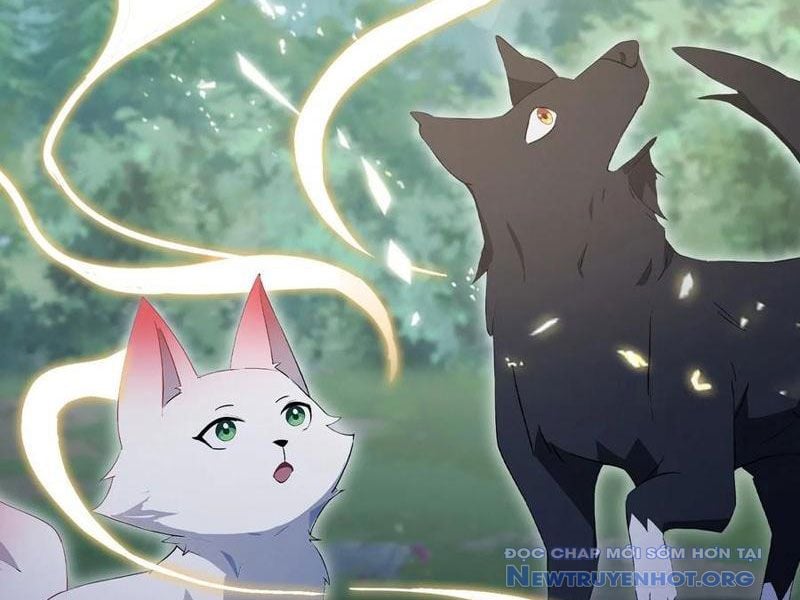 Hoá Ra Ta Đã Vô Địch Từ Lâu: Chapter 302