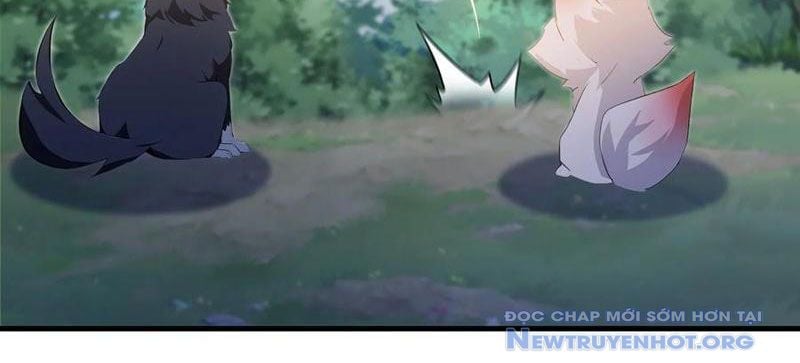 Hoá Ra Ta Đã Vô Địch Từ Lâu: Chapter 302