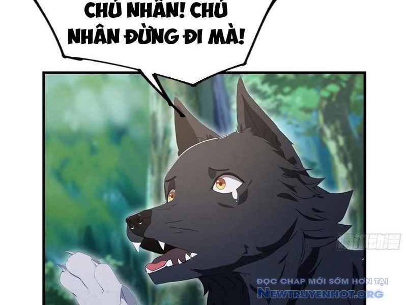 Hoá Ra Ta Đã Vô Địch Từ Lâu: Chapter 302