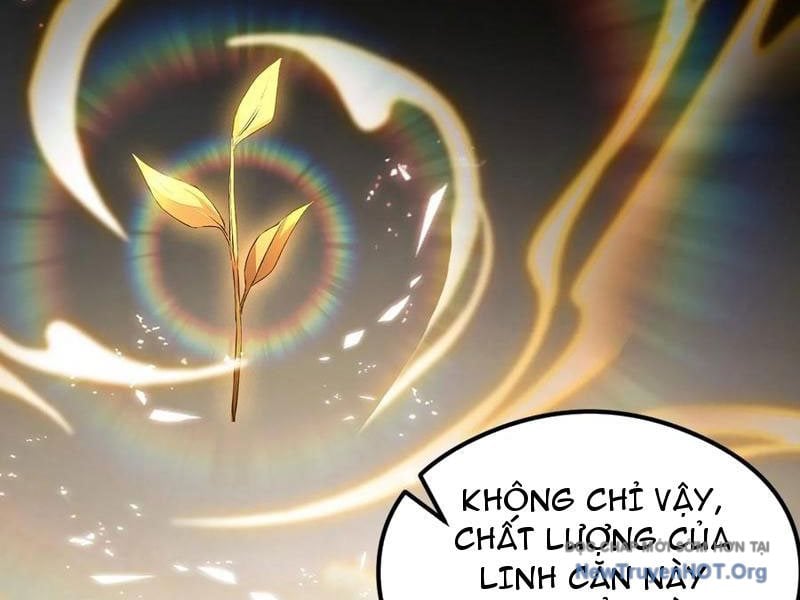 Hoá Ra Ta Đã Vô Địch Từ Lâu: Chapter 318