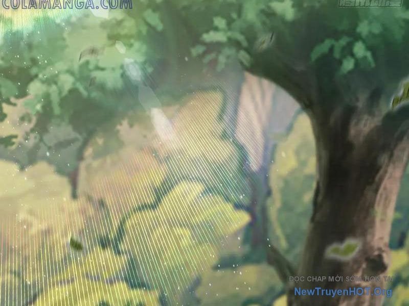 Hoá Ra Ta Đã Vô Địch Từ Lâu: Chapter 323