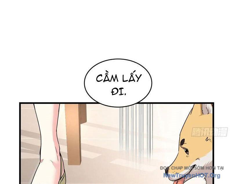 Hóa Ra Ta Là Đời Sau Của Yêu Quái: Chapter 21