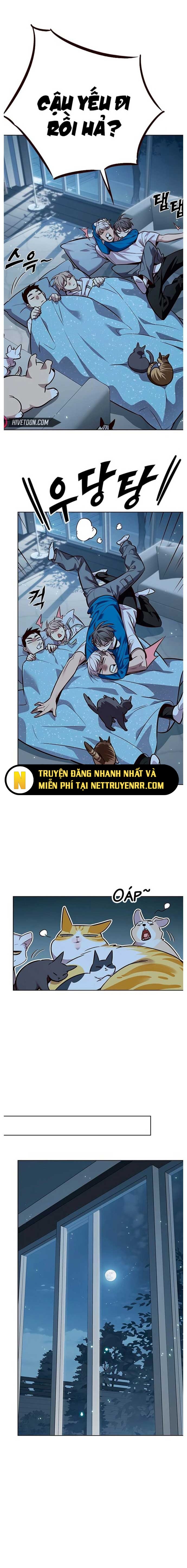 Hoá Thân Thành Mèo: Chapter 345