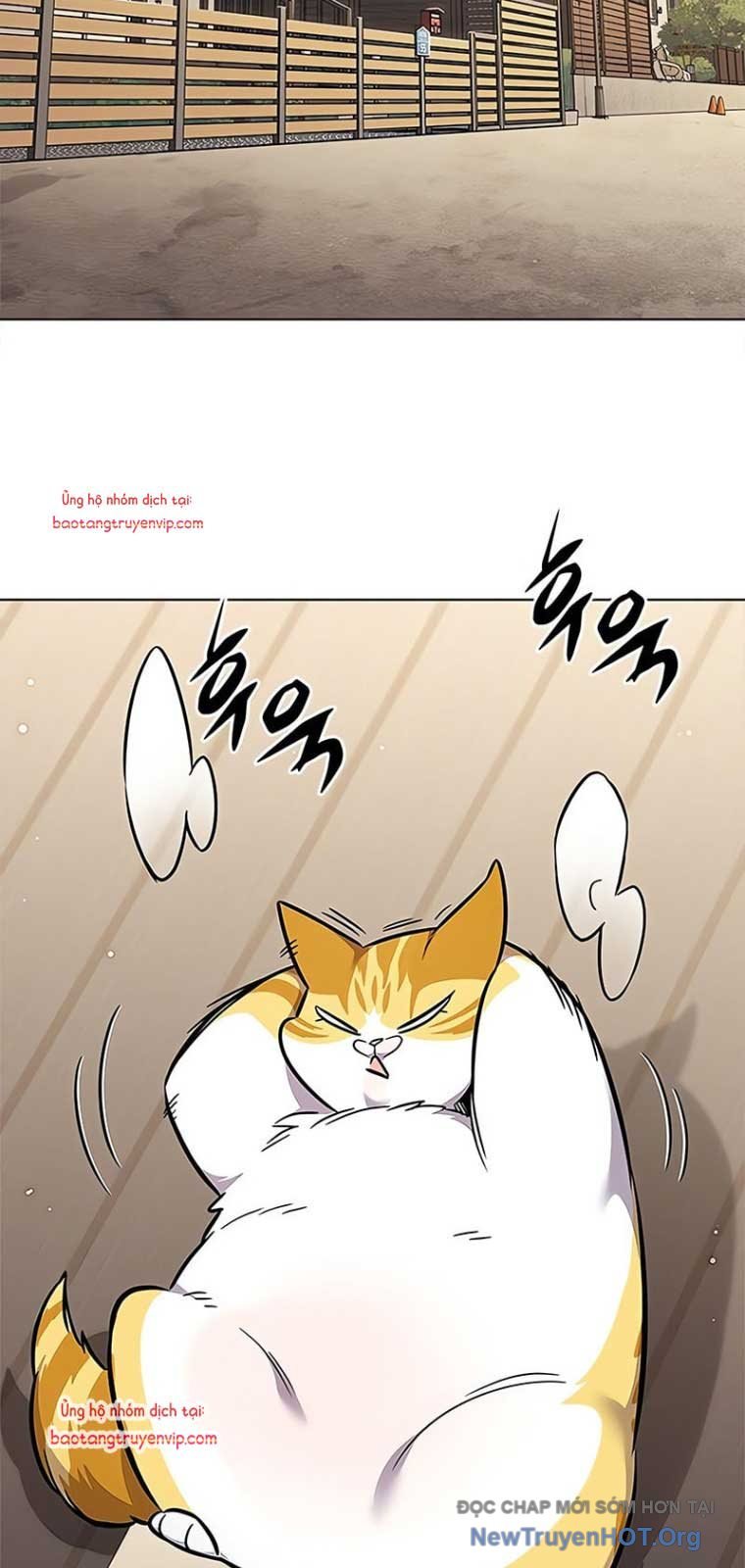 Hoá Thân Thành Mèo: Chapter 355