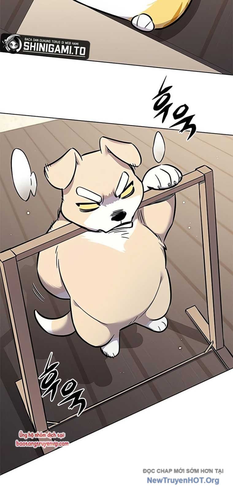 Hoá Thân Thành Mèo: Chapter 355