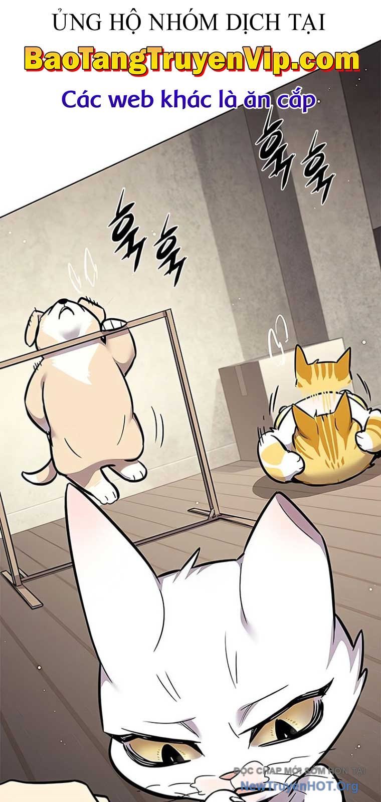 Hoá Thân Thành Mèo: Chapter 355