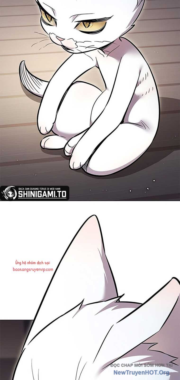 Hoá Thân Thành Mèo: Chapter 355