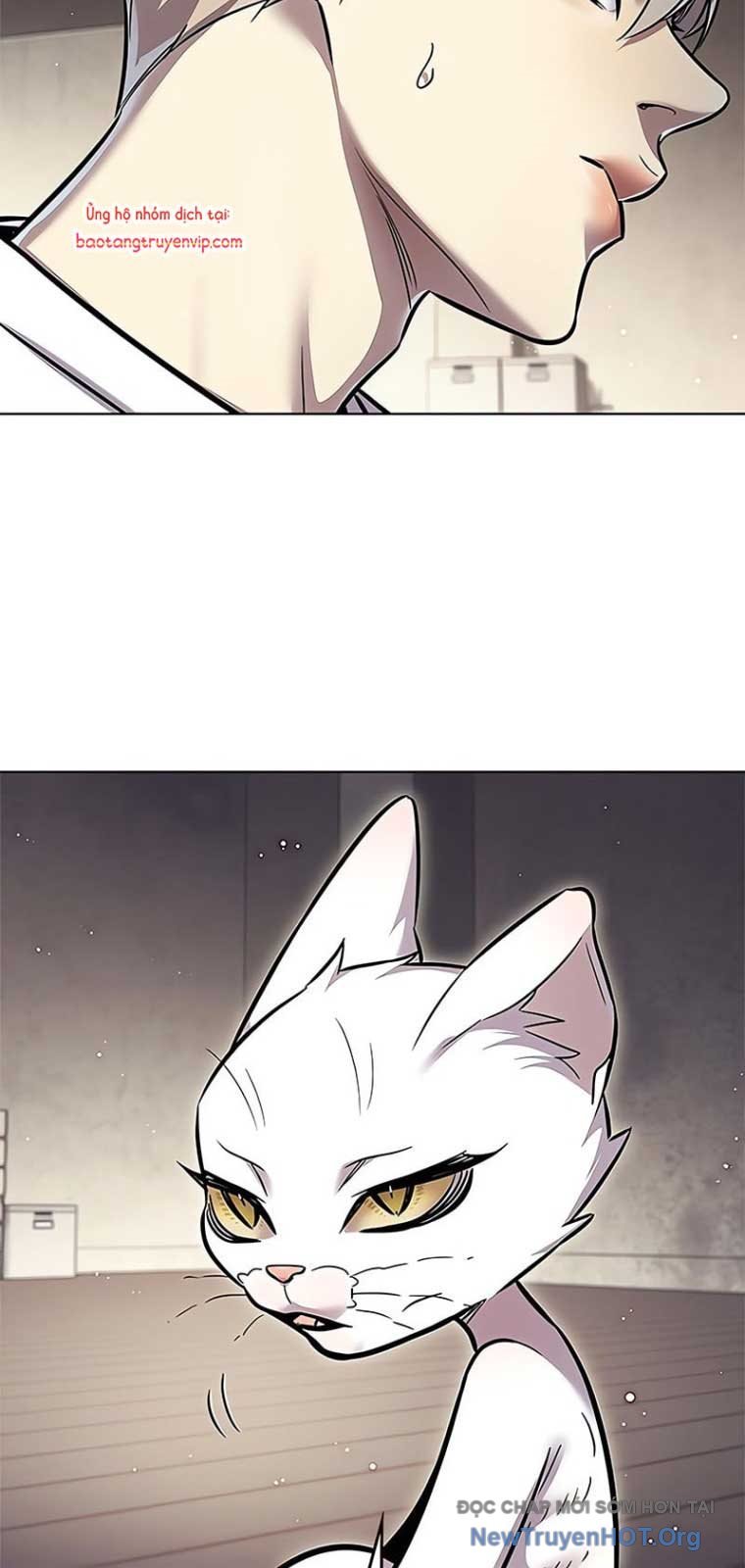 Hoá Thân Thành Mèo: Chapter 355