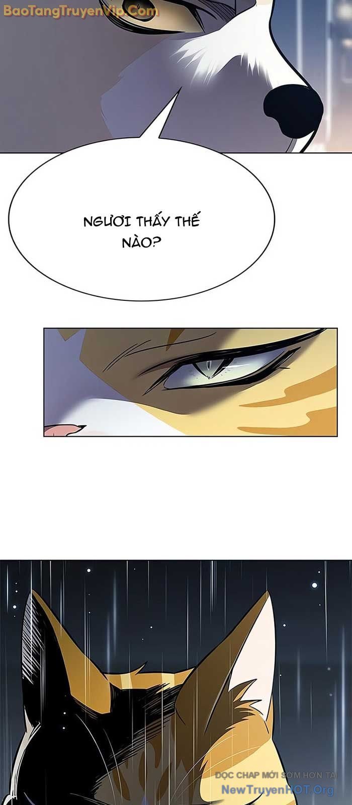 Hoá Thân Thành Mèo: Chapter 357