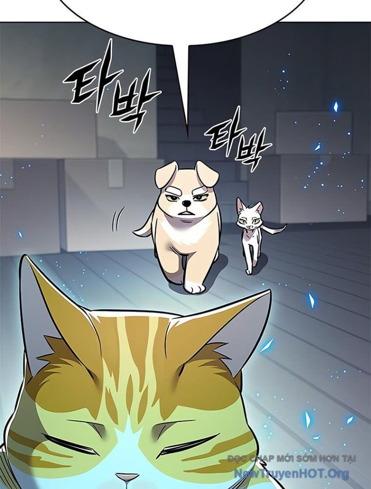 Hoá Thân Thành Mèo: Chapter 362