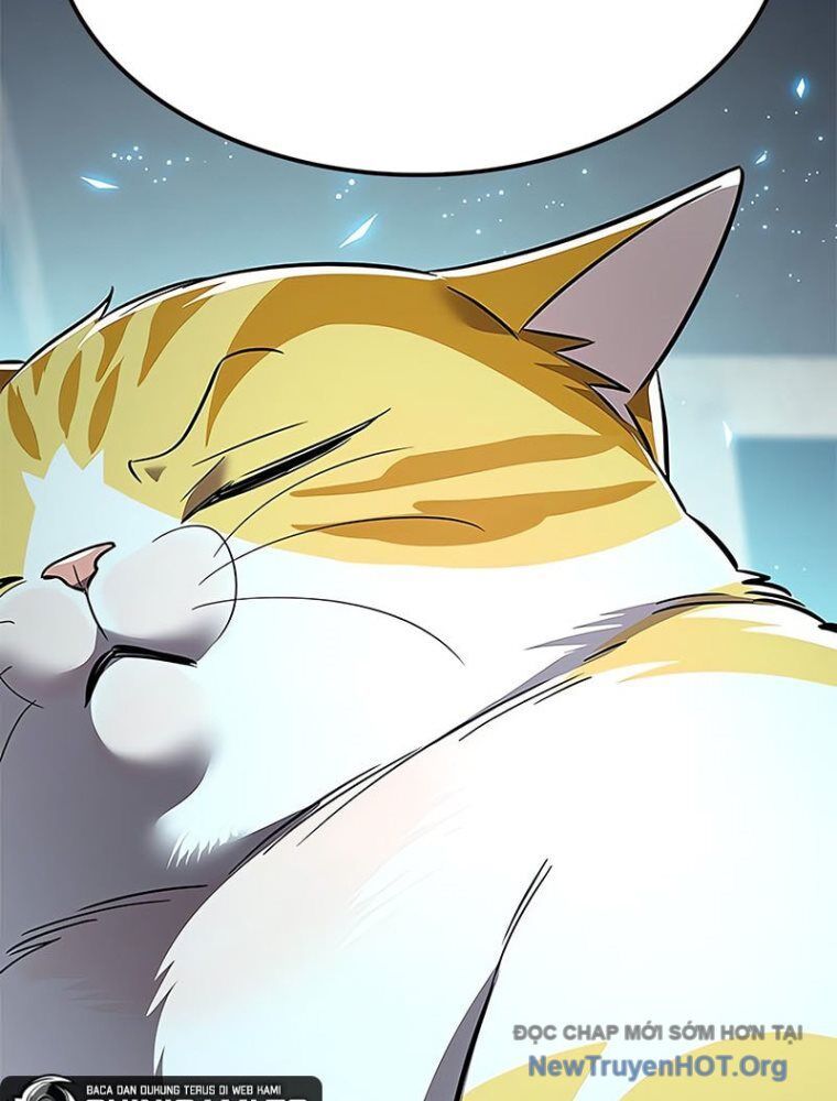 Hoá Thân Thành Mèo: Chapter 362