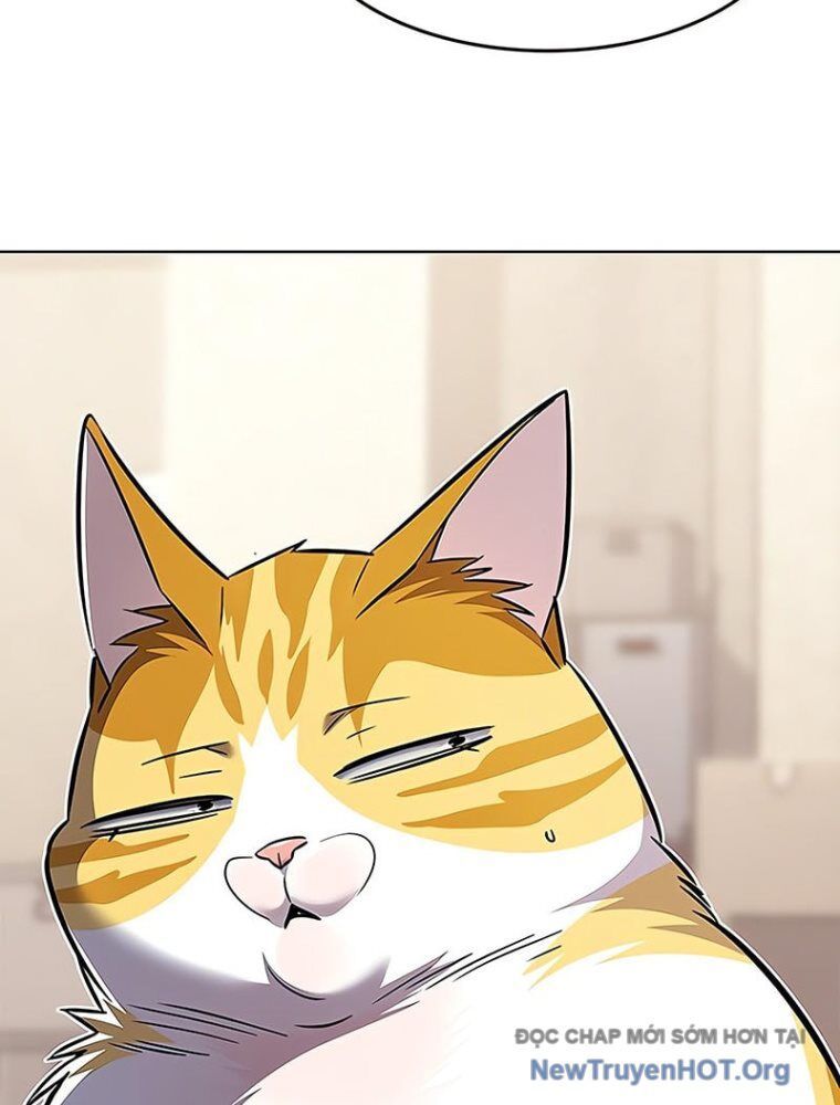 Hoá Thân Thành Mèo: Chapter 362