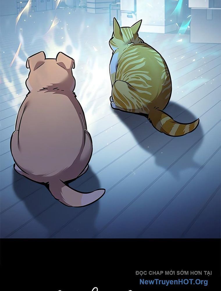 Hoá Thân Thành Mèo: Chapter 362