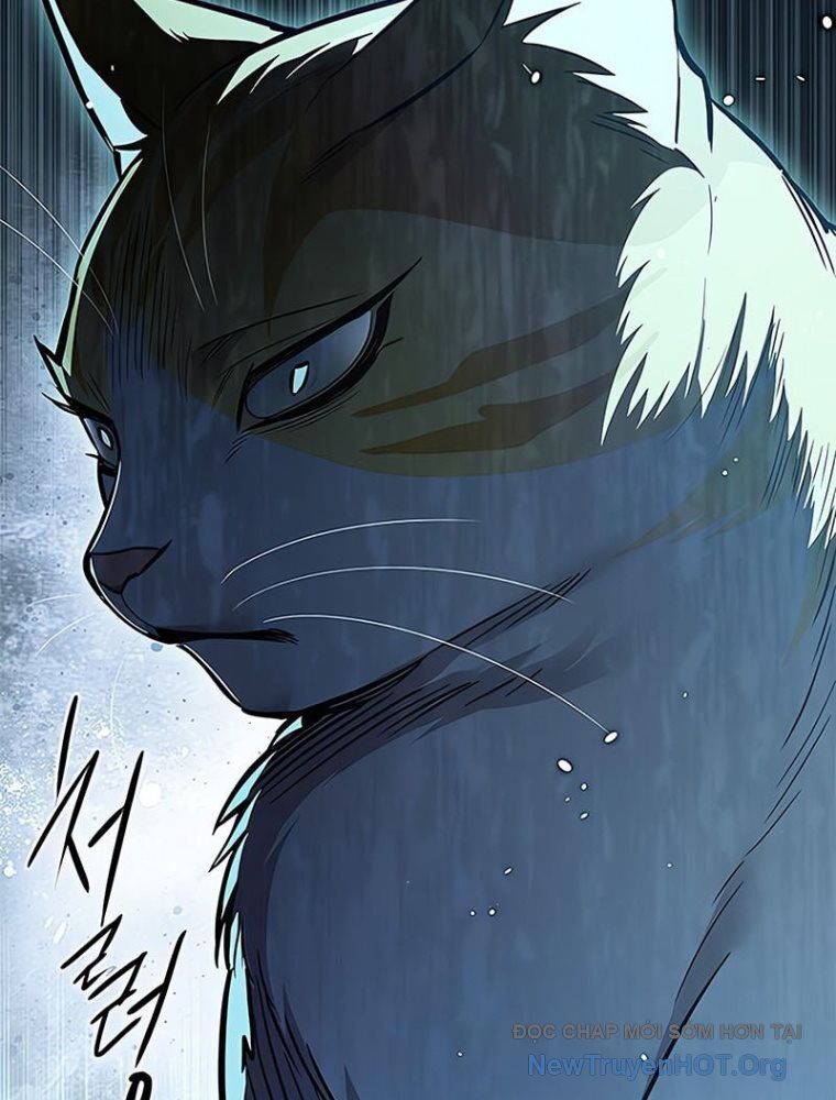 Hoá Thân Thành Mèo: Chapter 362