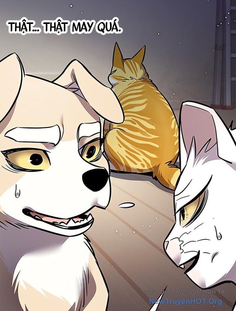 Hoá Thân Thành Mèo: Chapter 362