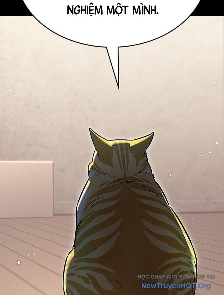 Hoá Thân Thành Mèo: Chapter 362