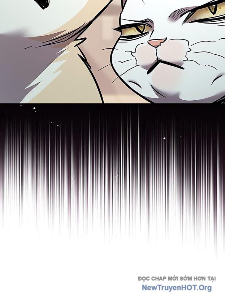 Hoá Thân Thành Mèo: Chapter 362