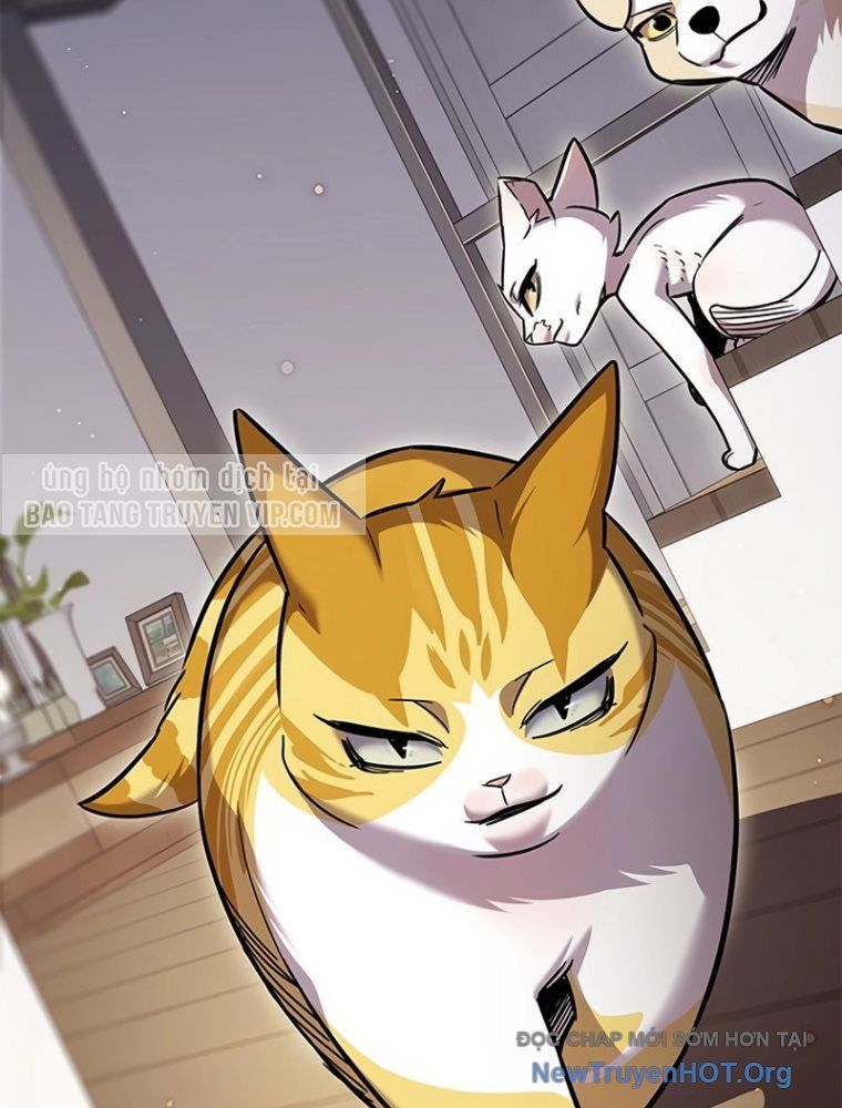 Hoá Thân Thành Mèo: Chapter 363
