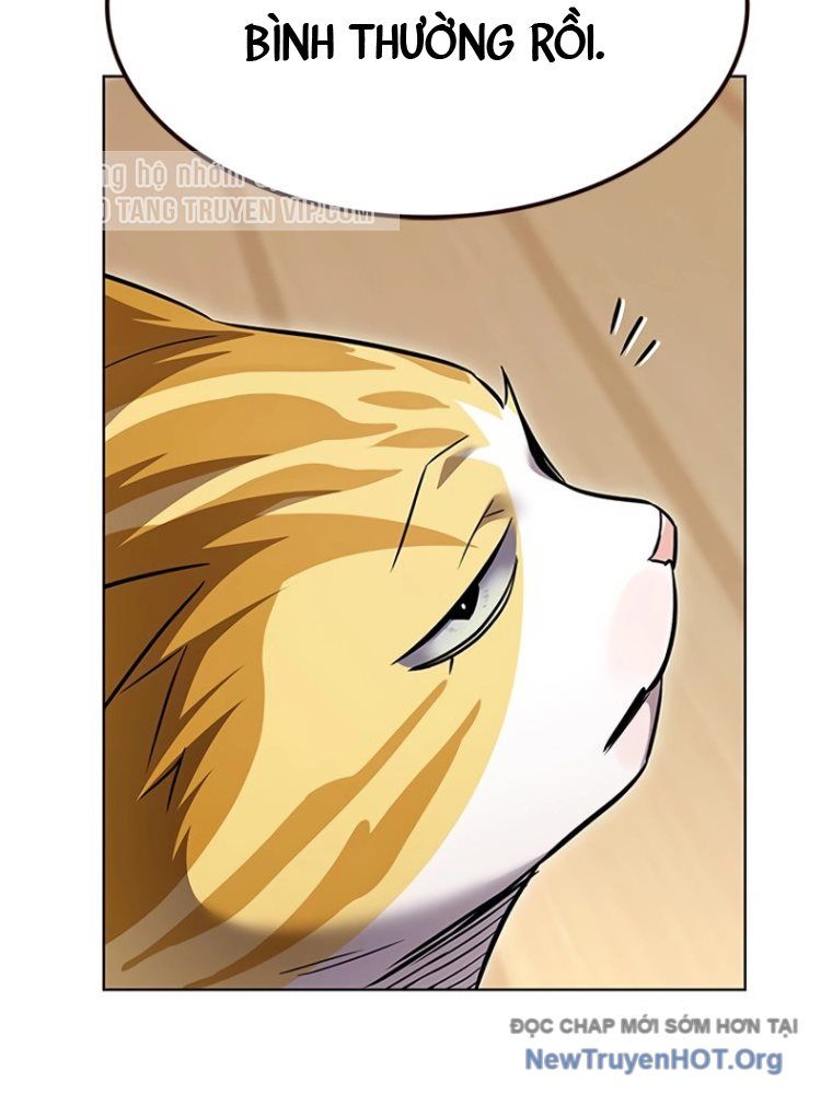 Hoá Thân Thành Mèo: Chapter 363