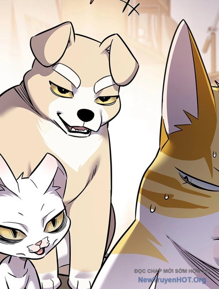 Hoá Thân Thành Mèo: Chapter 363