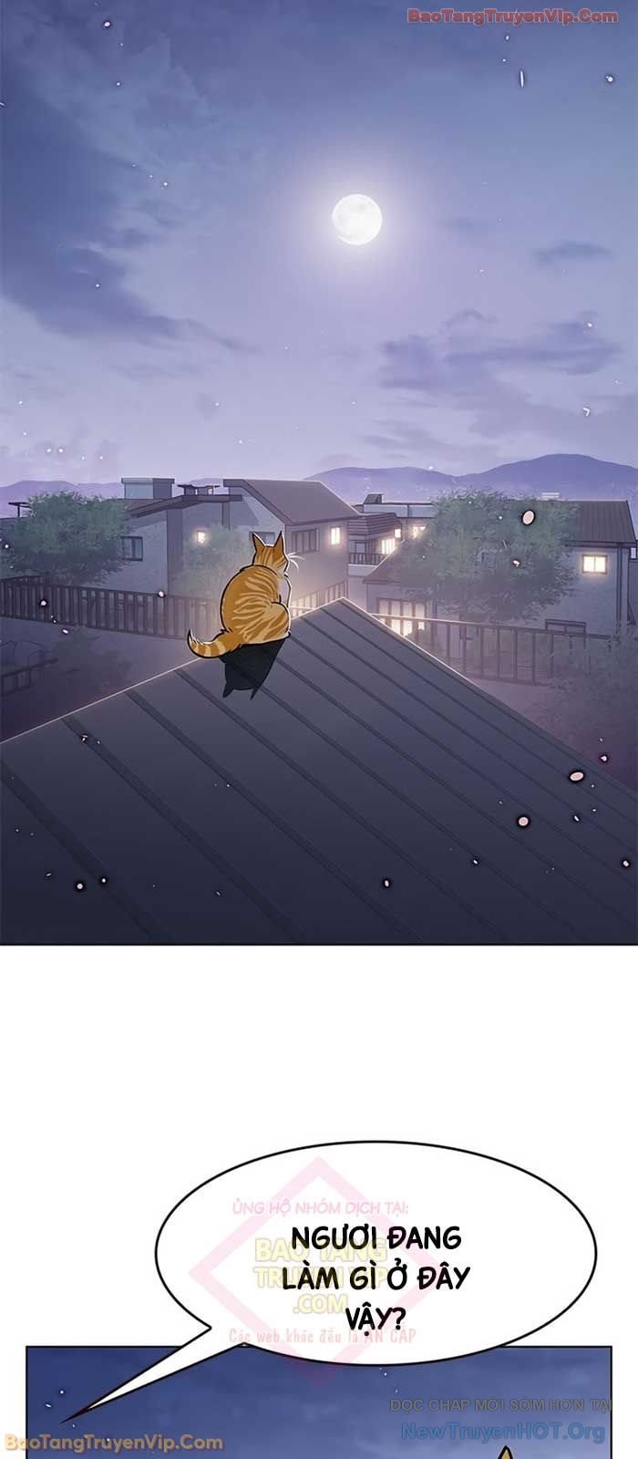 Hoá Thân Thành Mèo: Chapter 364