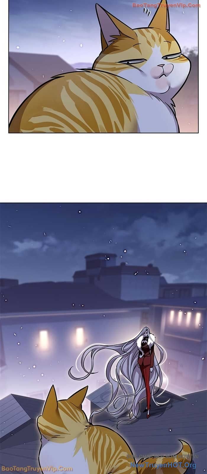 Hoá Thân Thành Mèo: Chapter 364