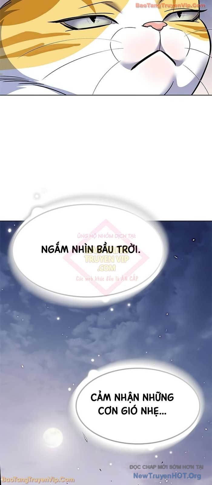 Hoá Thân Thành Mèo: Chapter 364