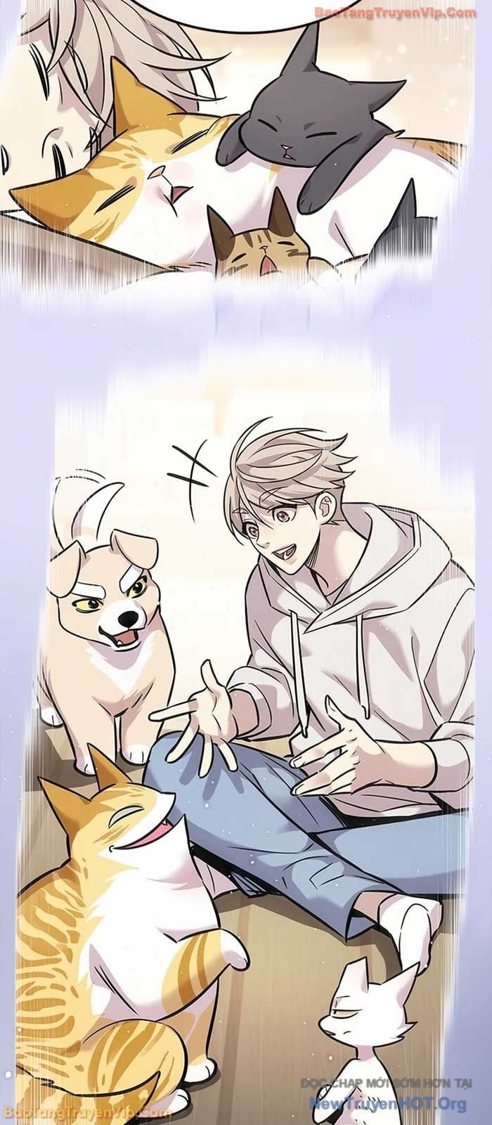 Hoá Thân Thành Mèo: Chapter 364