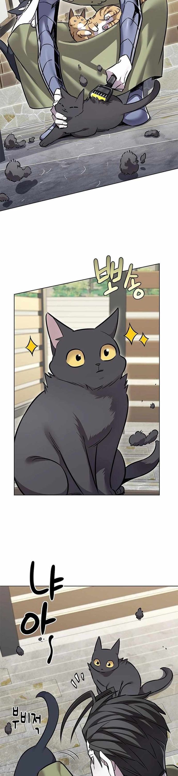 Hoá Thân Thành Mèo: Chapter 365