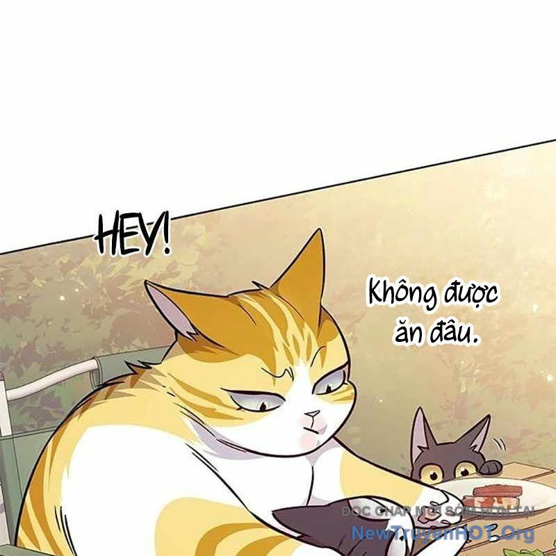 Hoá Thân Thành Mèo: Chapter 366