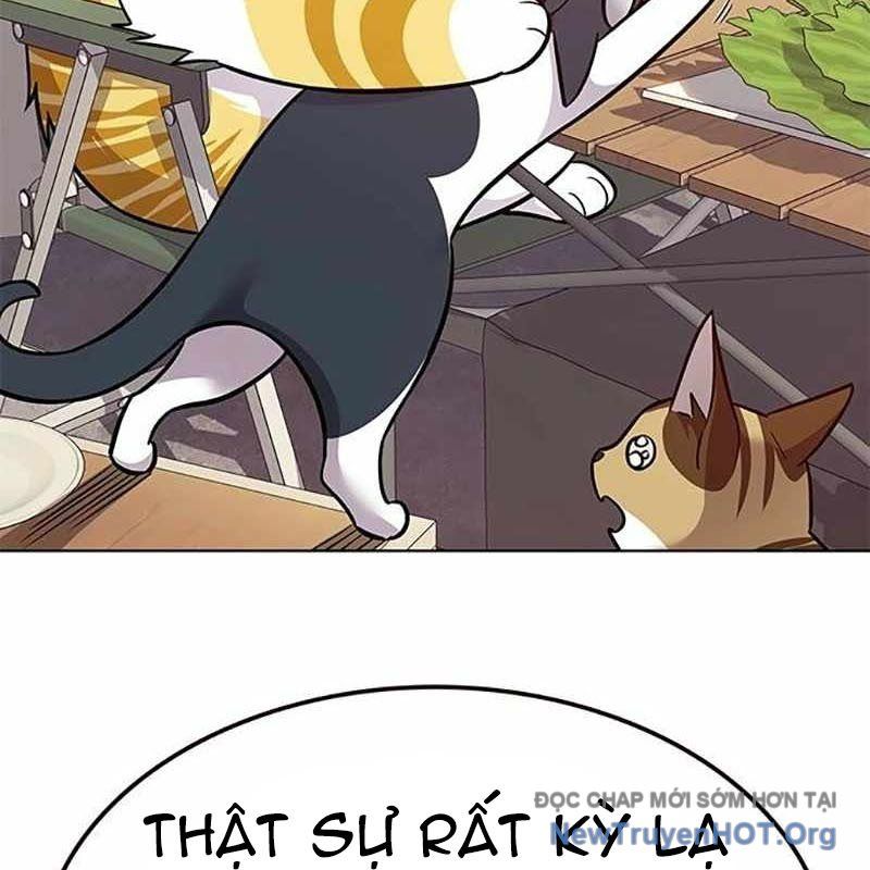Hoá Thân Thành Mèo: Chapter 366