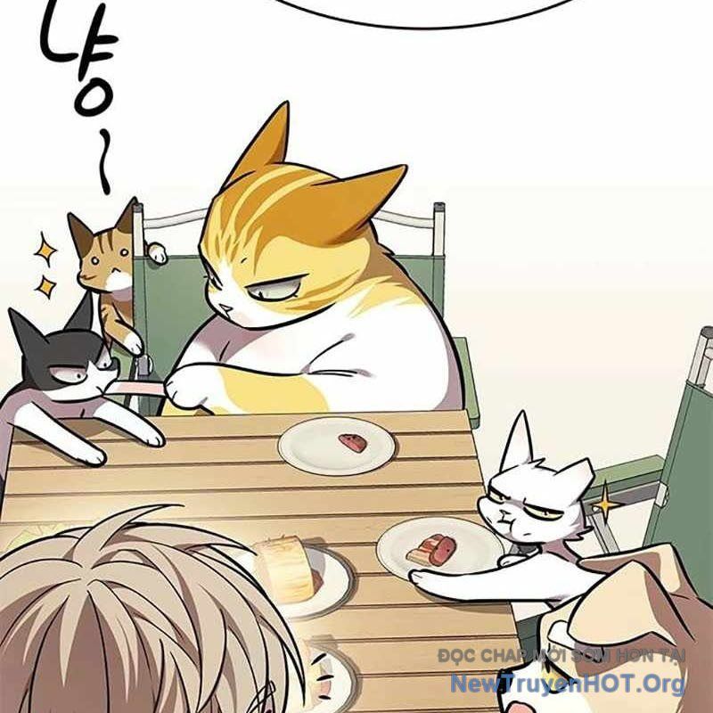 Hoá Thân Thành Mèo: Chapter 366
