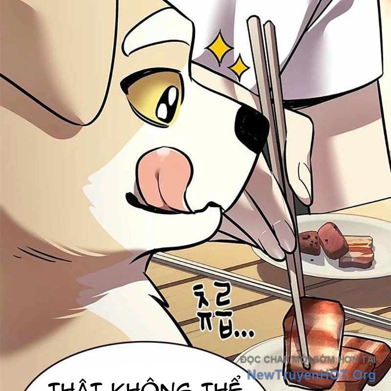 Hoá Thân Thành Mèo: Chapter 366